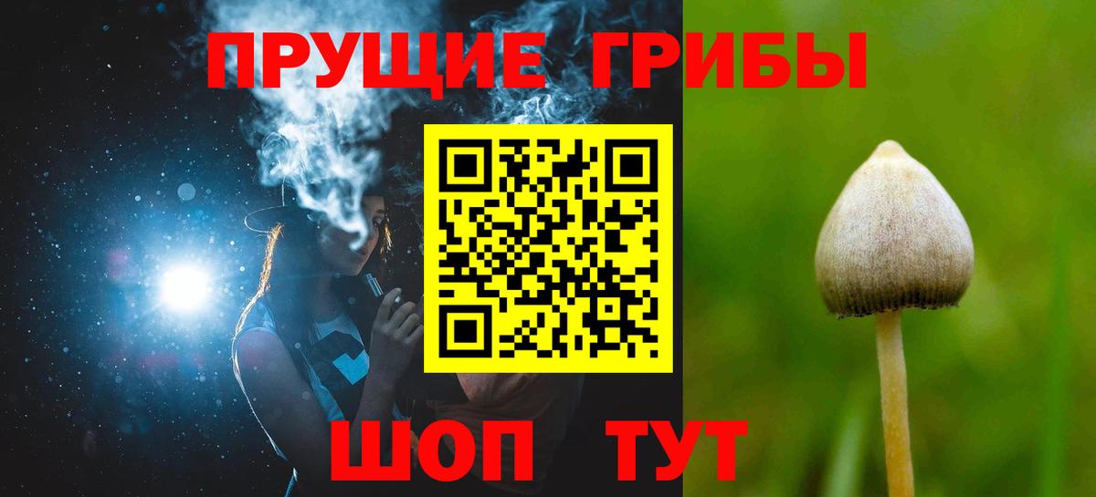 Псилоцибиновые грибы MAGIC MUSHROOMS Холмск