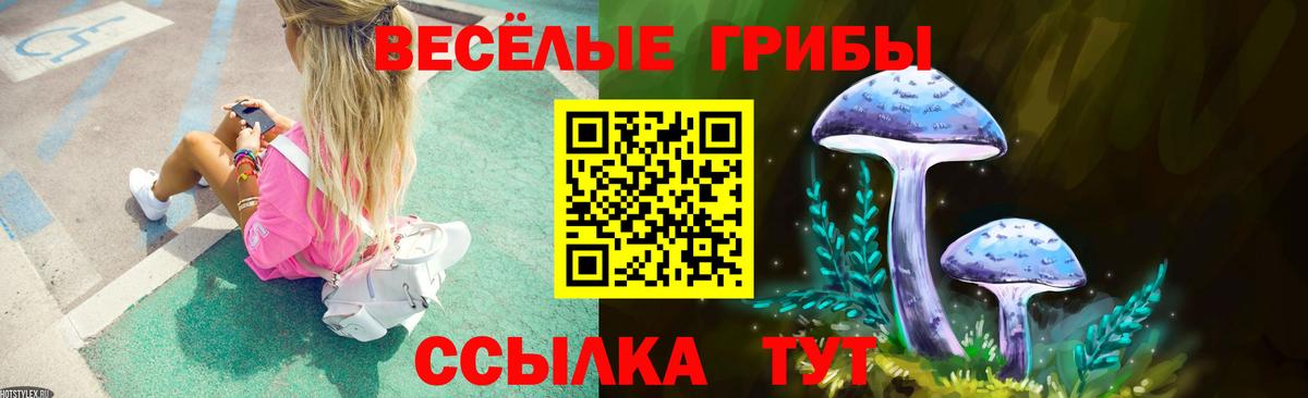 Псилоцибиновые грибы Psilocybe  Вход с VPN  Холмск 