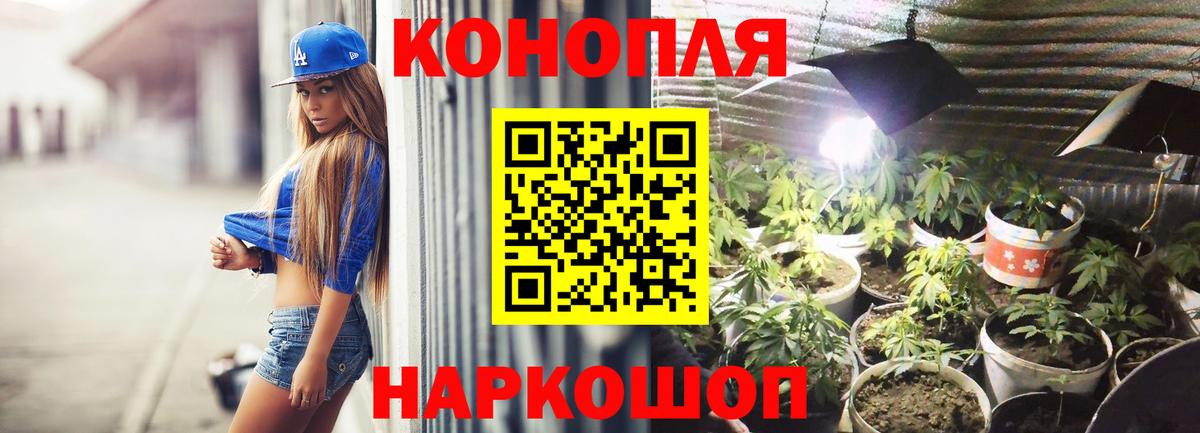 Конопля конопля Холмск